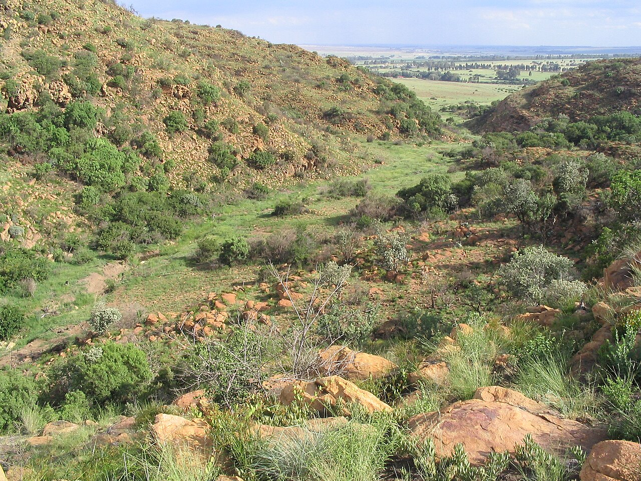 صورة Suikerbosrand Nature Reserve