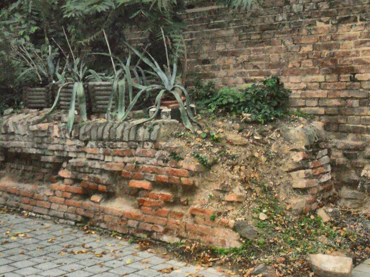 Linienwall
