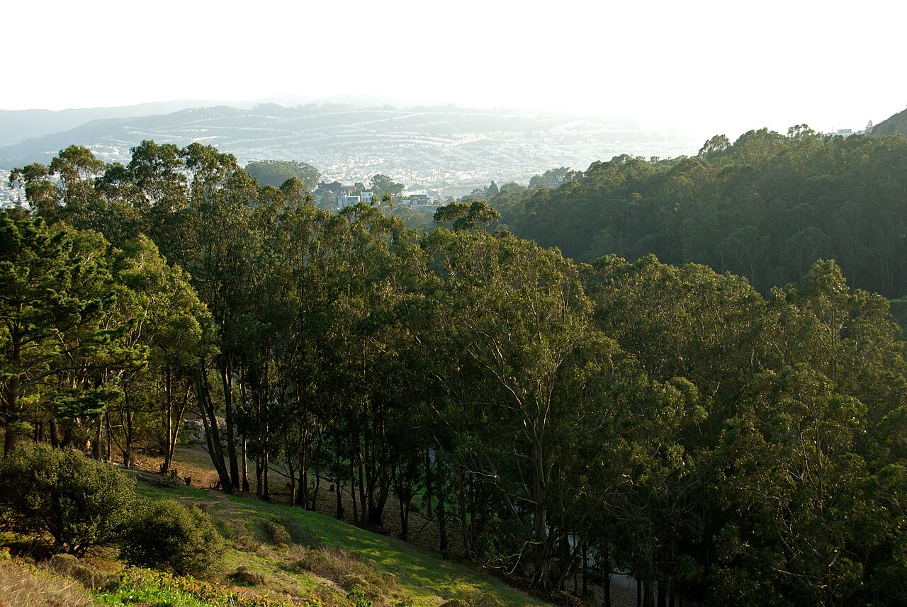 Glen Canyon Park의 사진