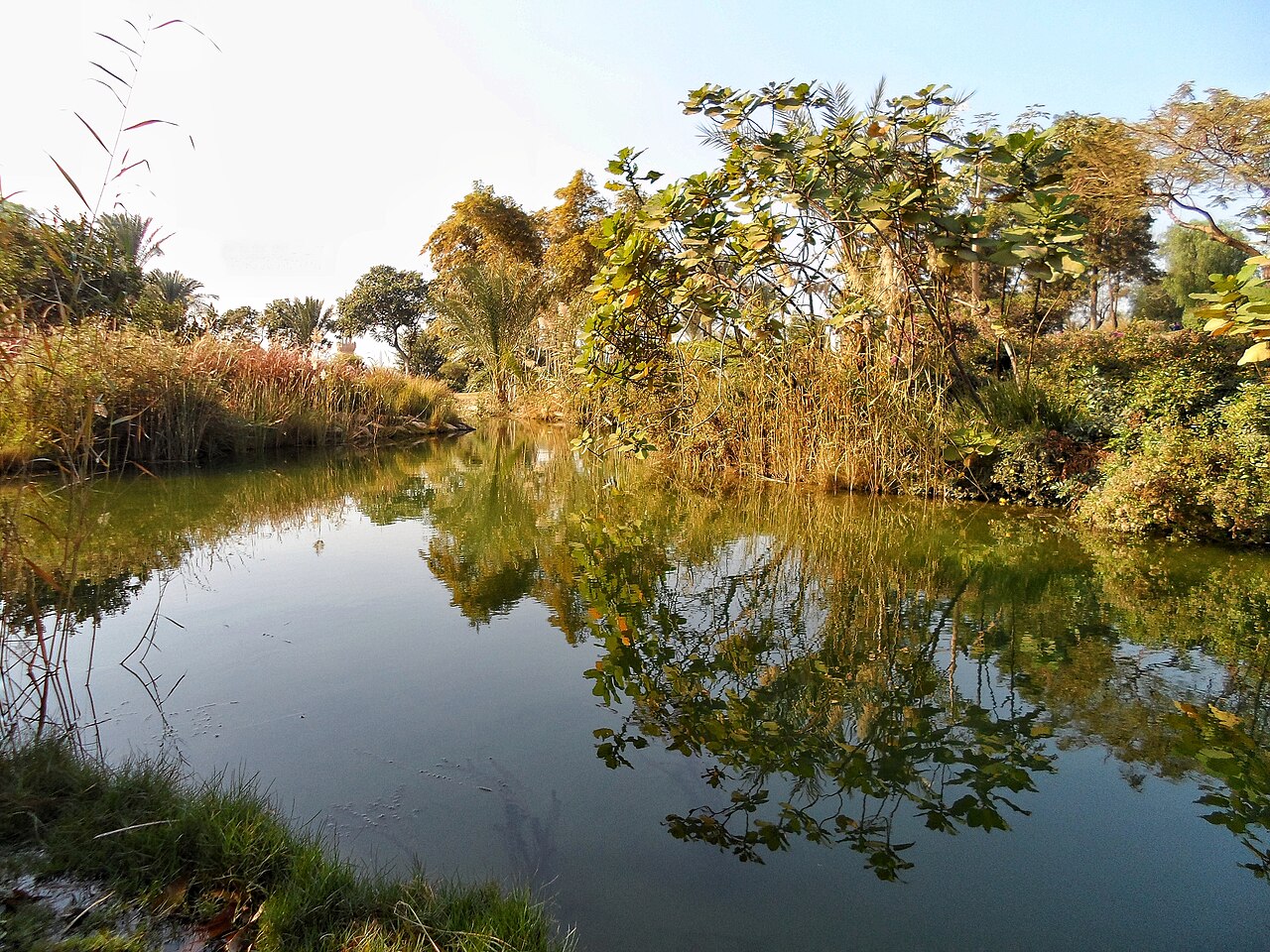 A photograph of Al-Azhar Park