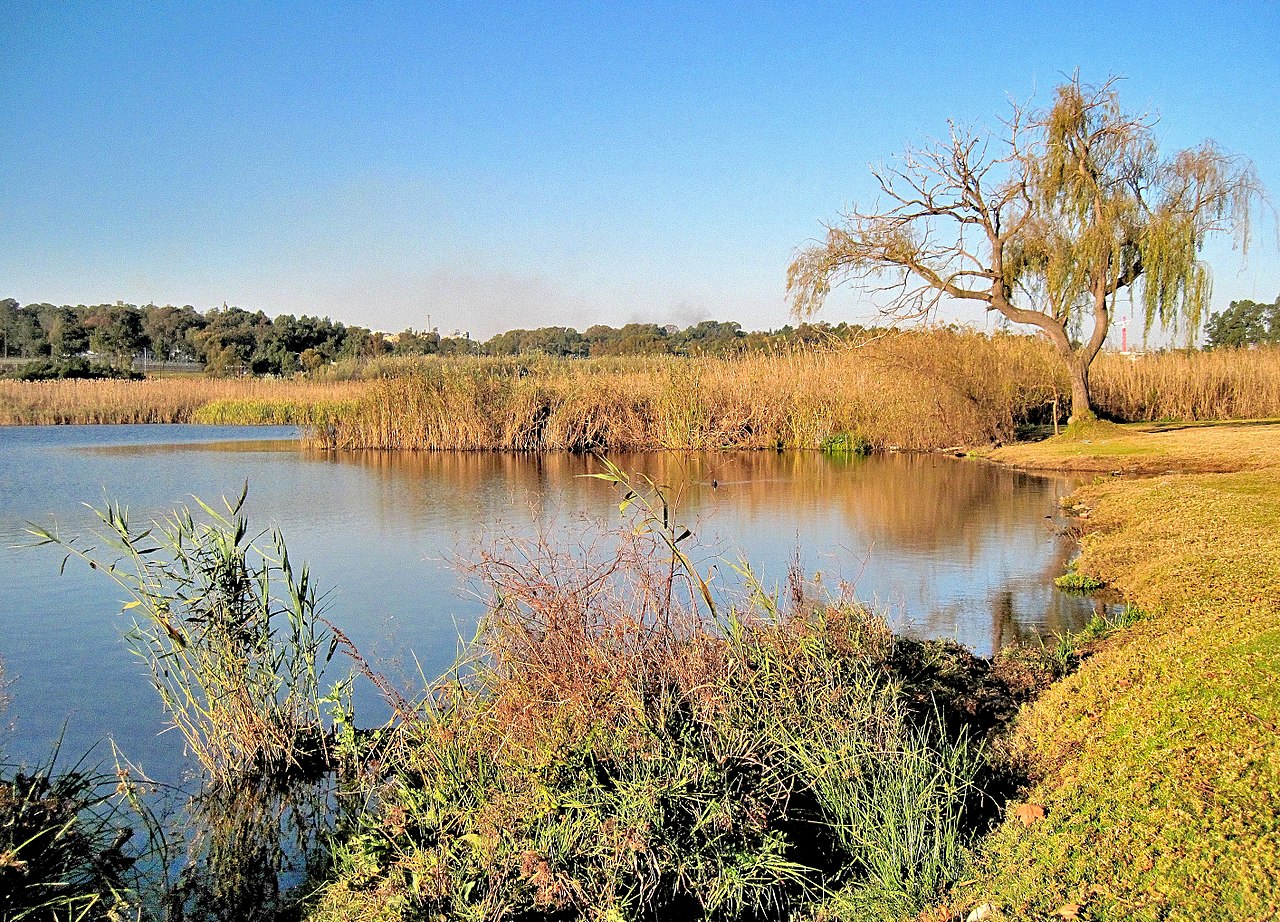 صورة Modderfontein Reserve