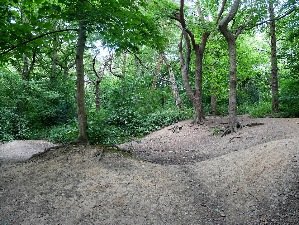 A photograph of Scadbury Park