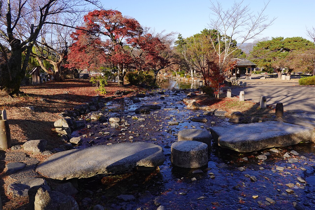 Una fotografia di 円山公園