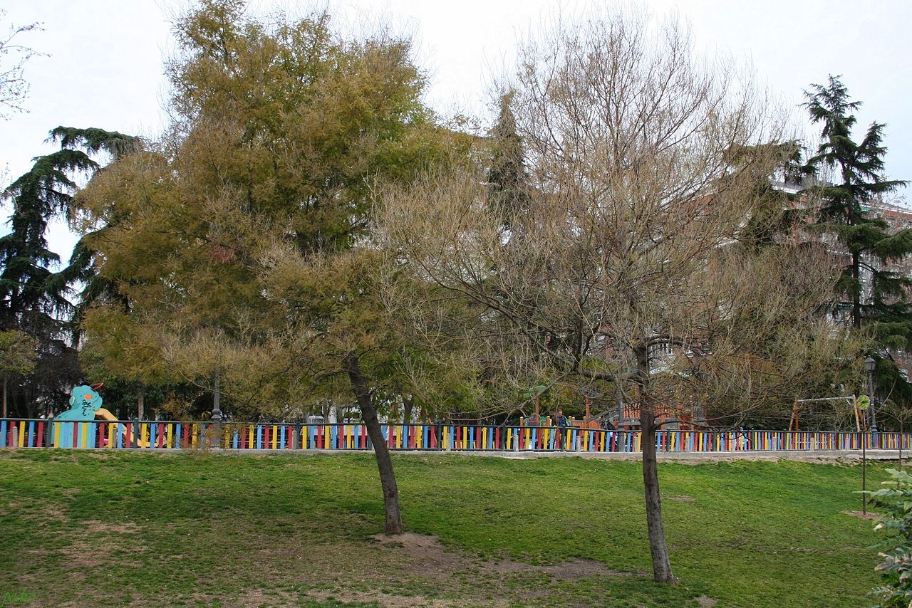 Ein Foto von Parque de Berlín
