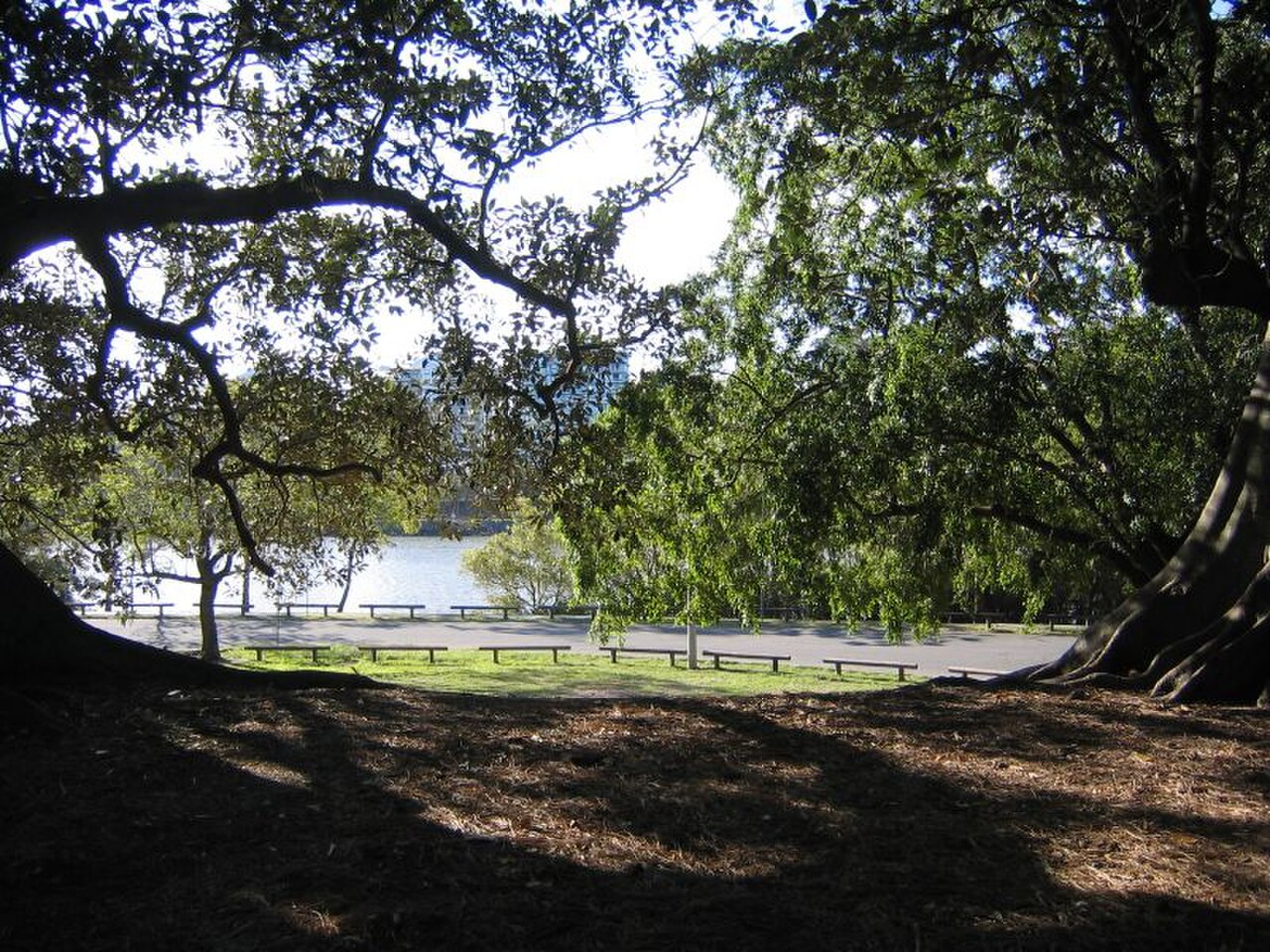 Ein Foto von Davies Park