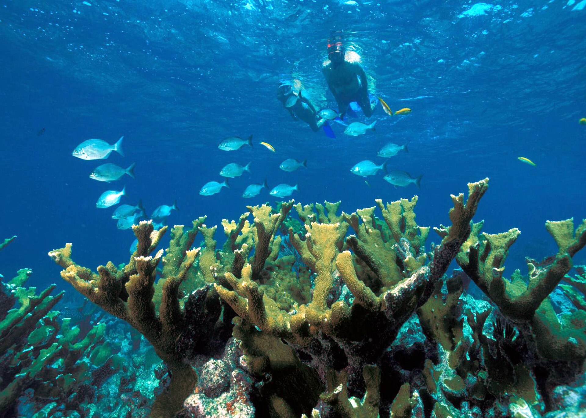 Biscayne National Park의 사진