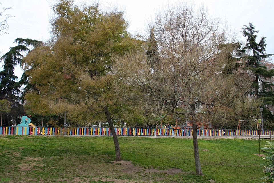 A photograph of Berlin Park