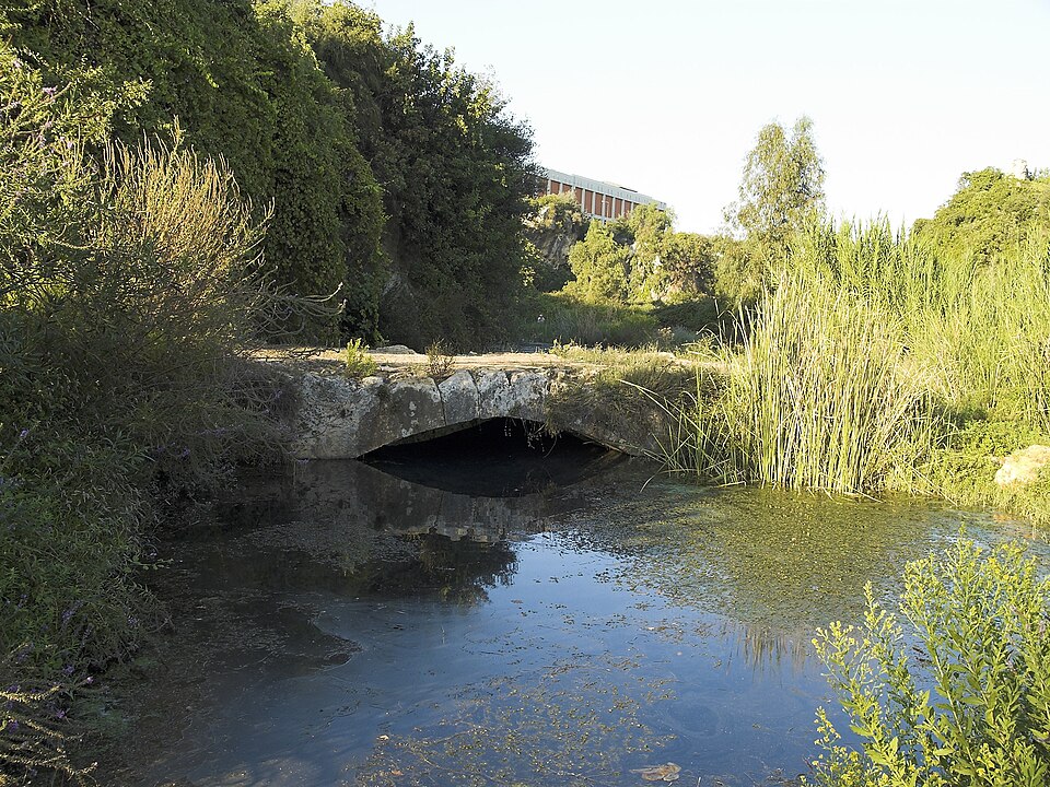 A photograph of Arapsu Bridge