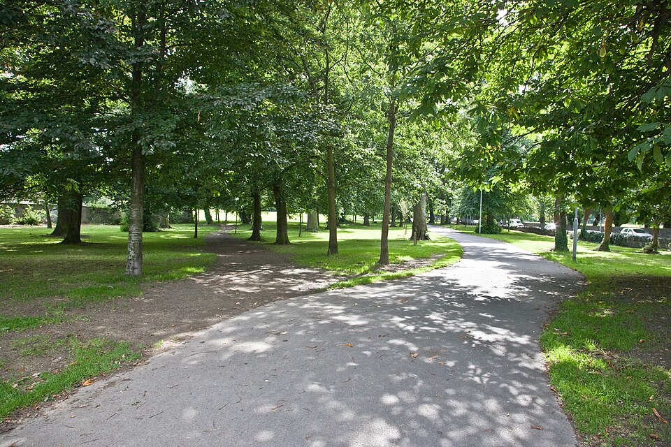 A photograph of Bushy Park
