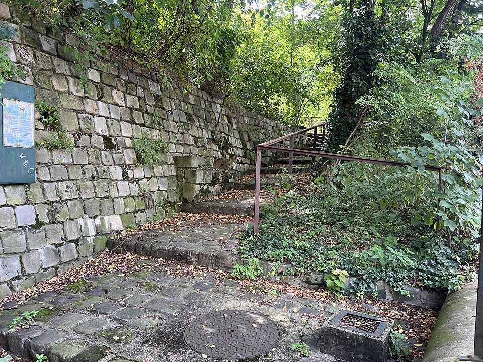 A photograph of Jardin sauvage Saint-Vincent