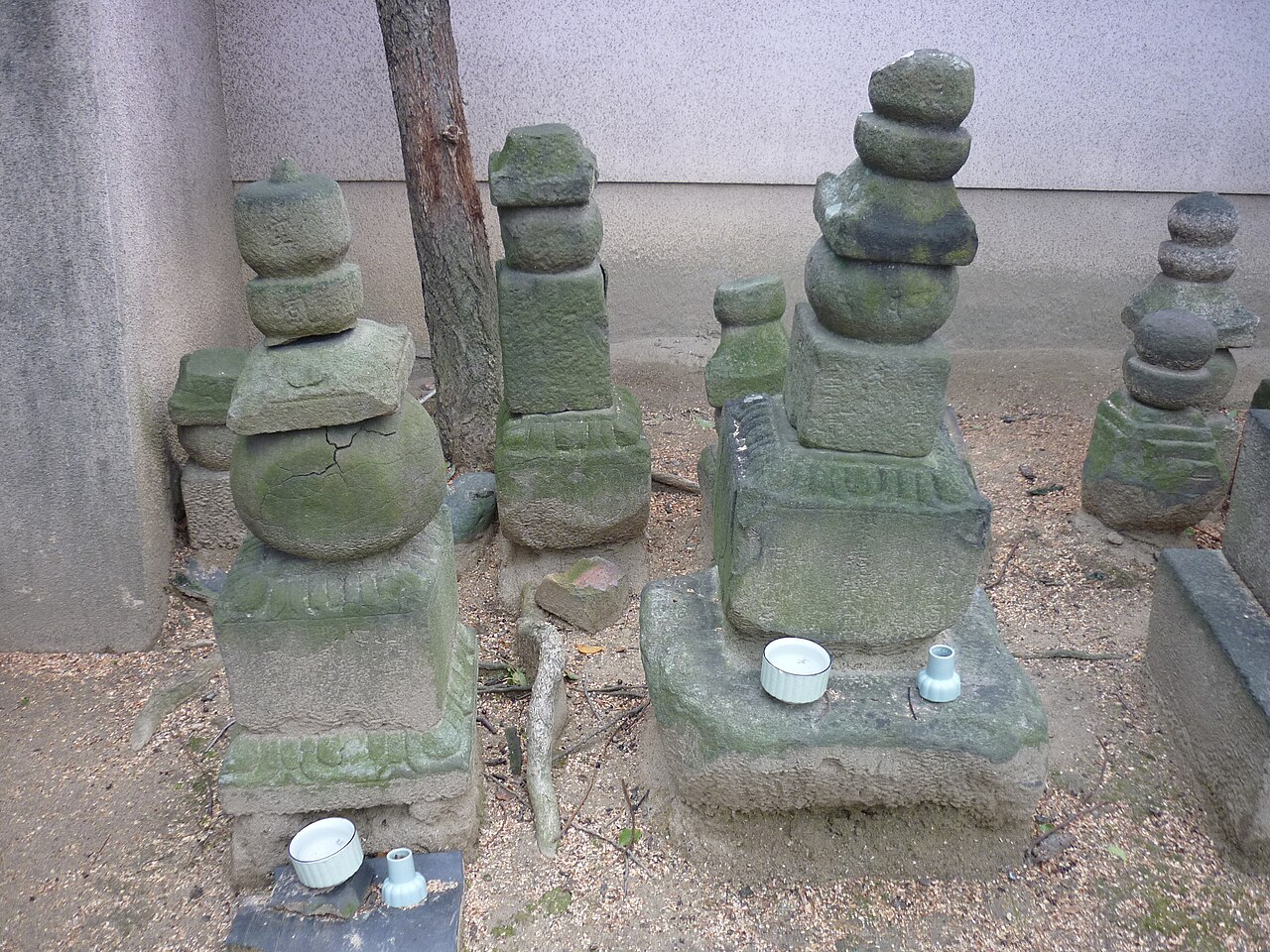 眞観寺 fotoğrafı