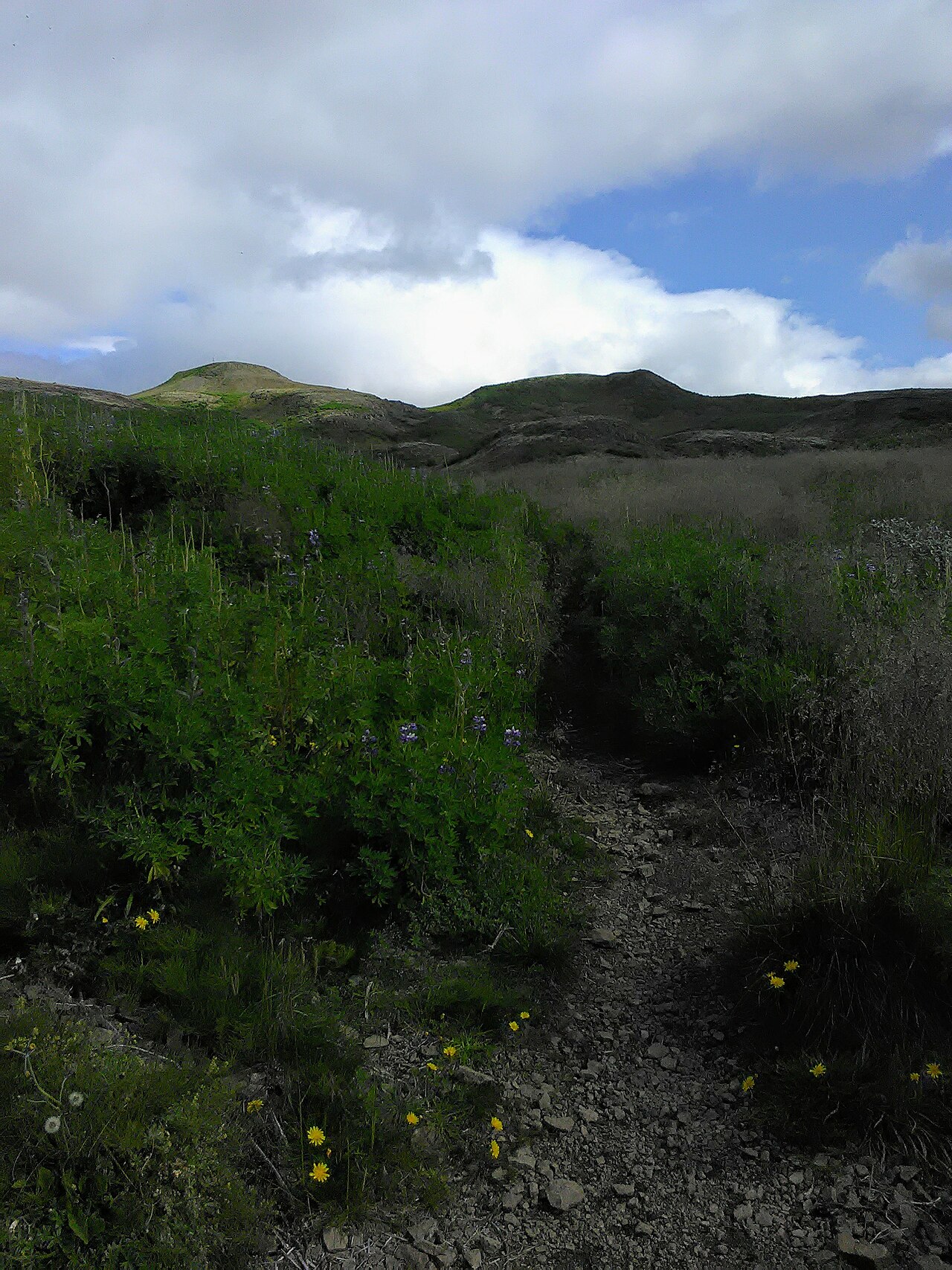 A photograph of Úlfarsfell