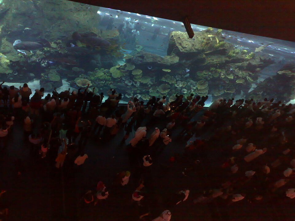 A photograph of Dubai Aquarium and Underwater Zoo
