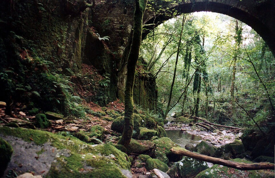 A photograph of Capela