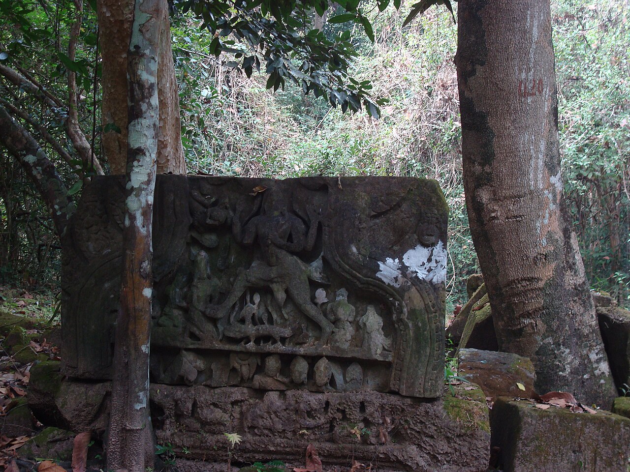 Mangalartha의 사진