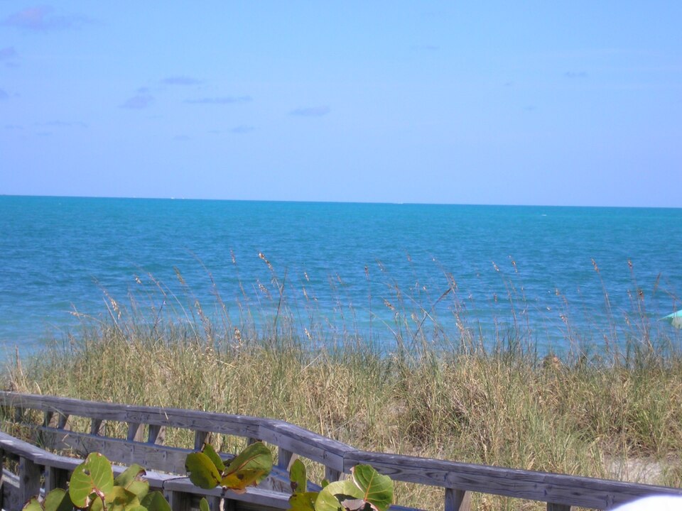 A photograph of Crandon Park