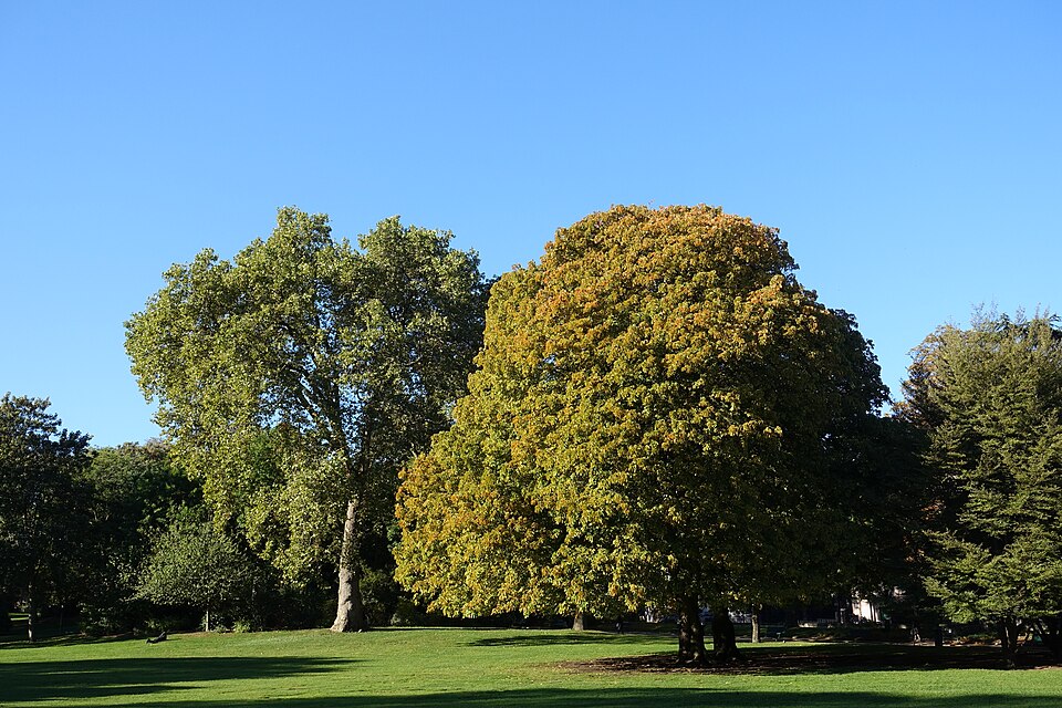 A photograph of parc Montsouris