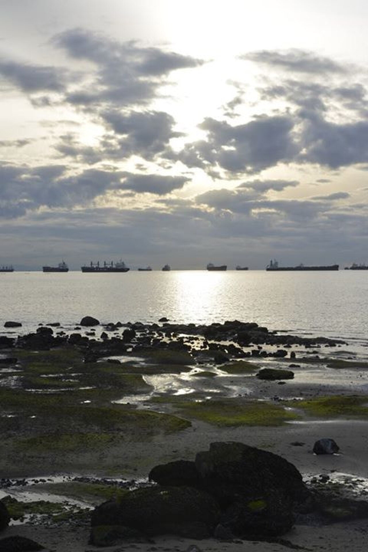 Uma fotografia de Stanley Park