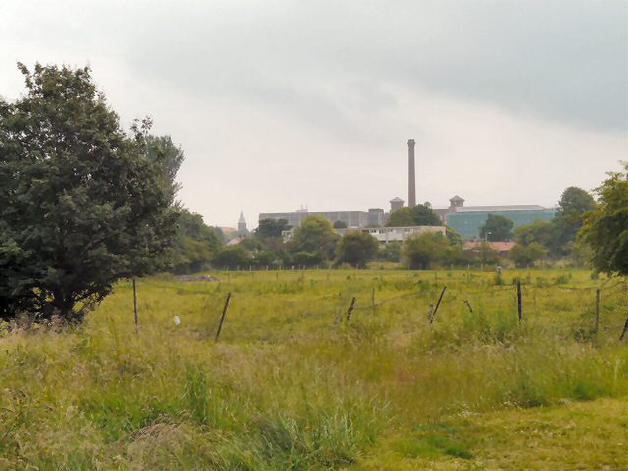 Highfield Country Park の写真