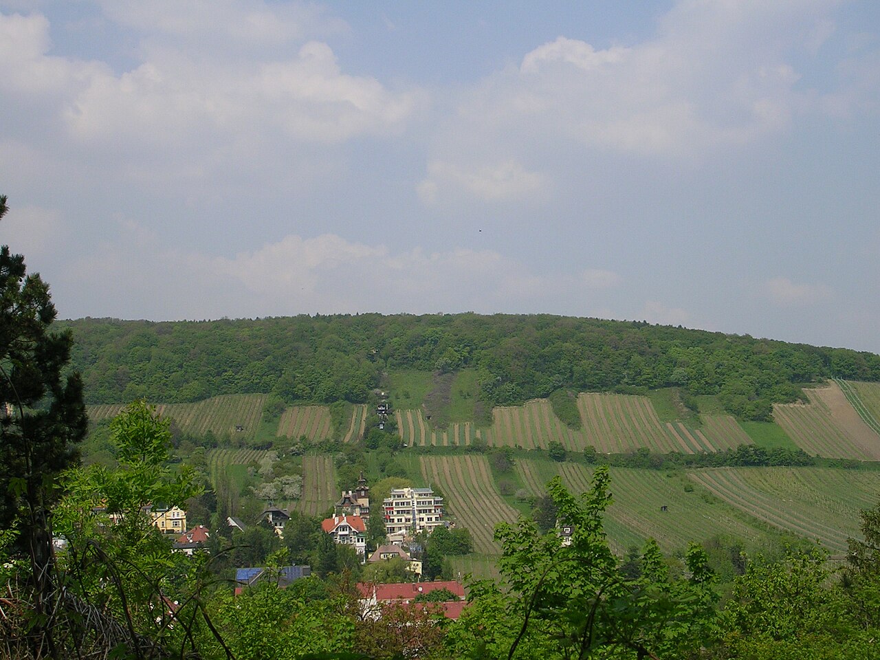 Neuberg の写真