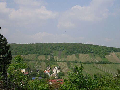 Neuberg