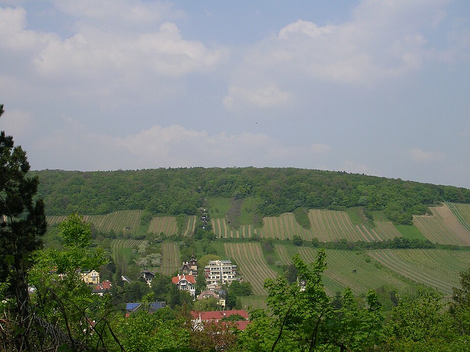 Neuberg fotoğrafı