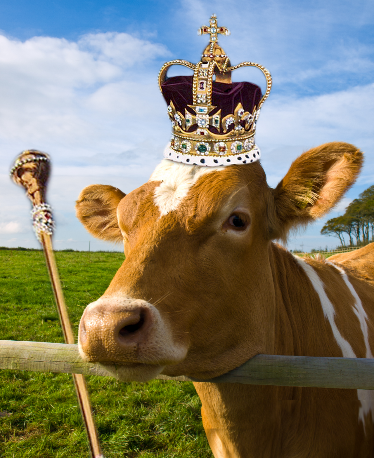 Crown Jewels of the United Kingdom