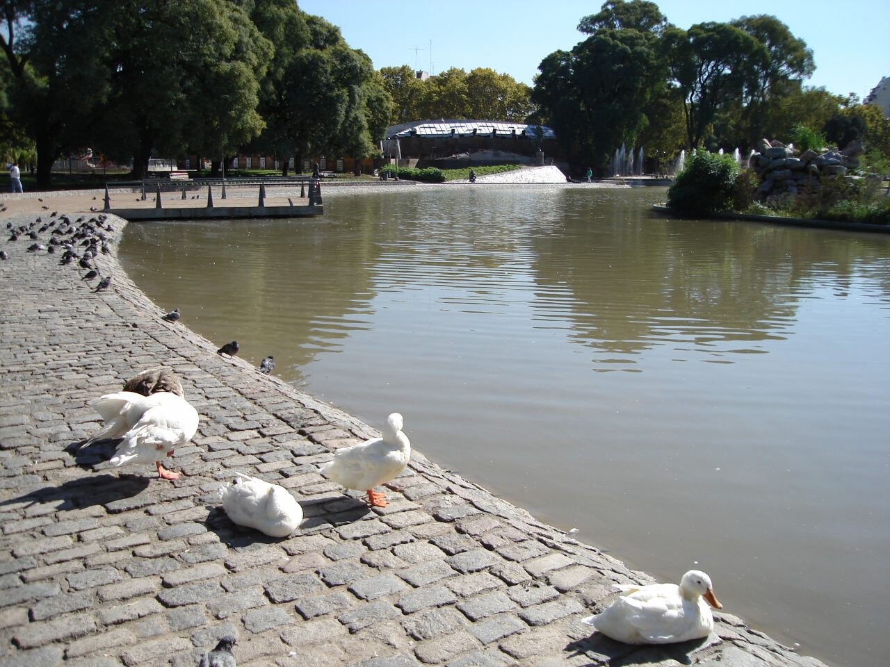 Ein Foto von Parque Centenario
