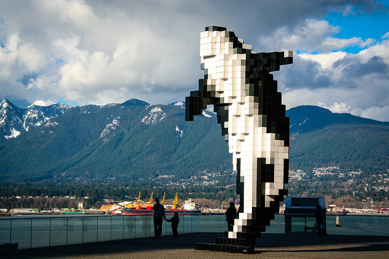 A photograph of Digital Orca