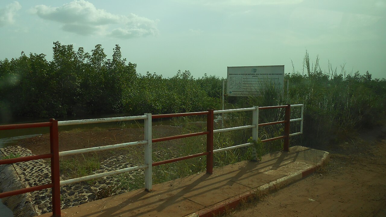 Parque Manglar fotoğrafı