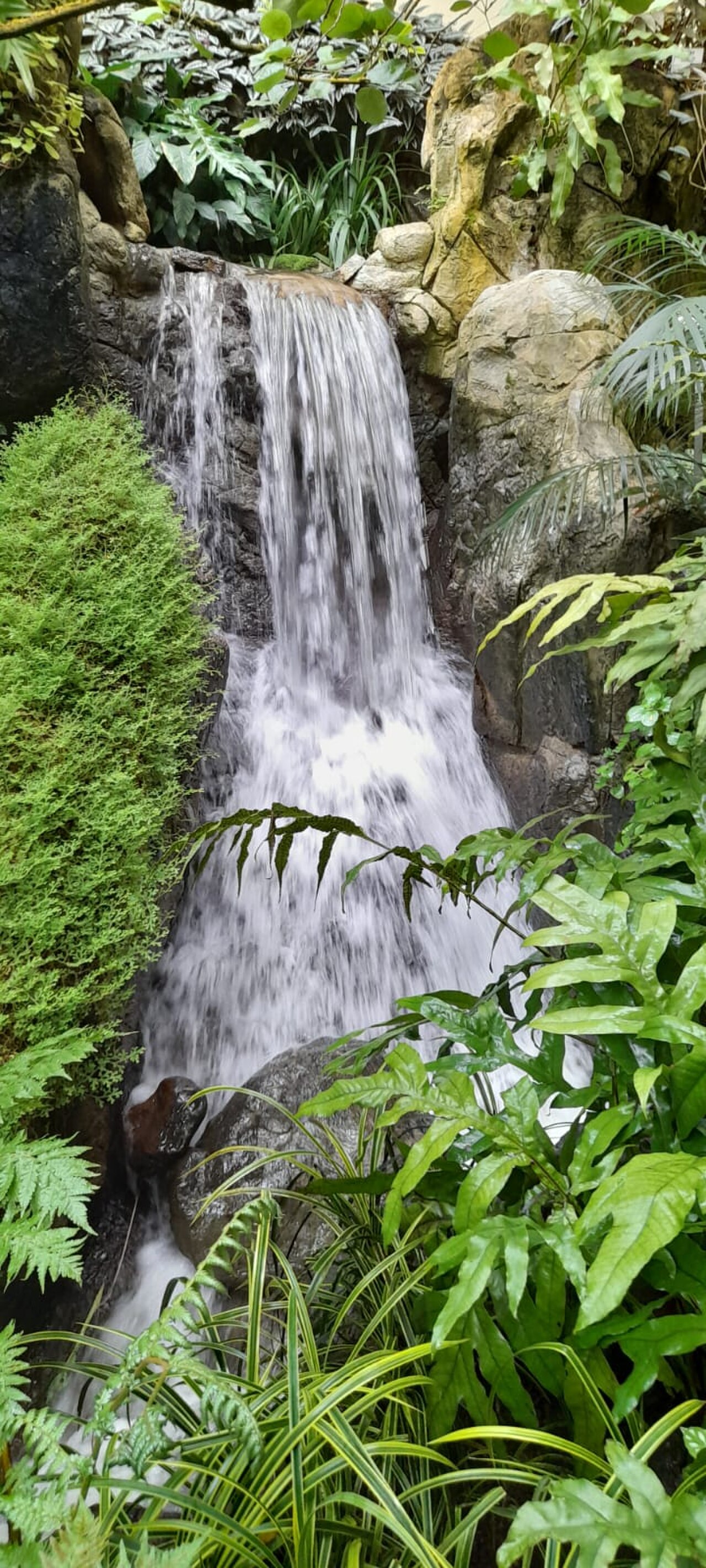 صورة Hong Kong Park