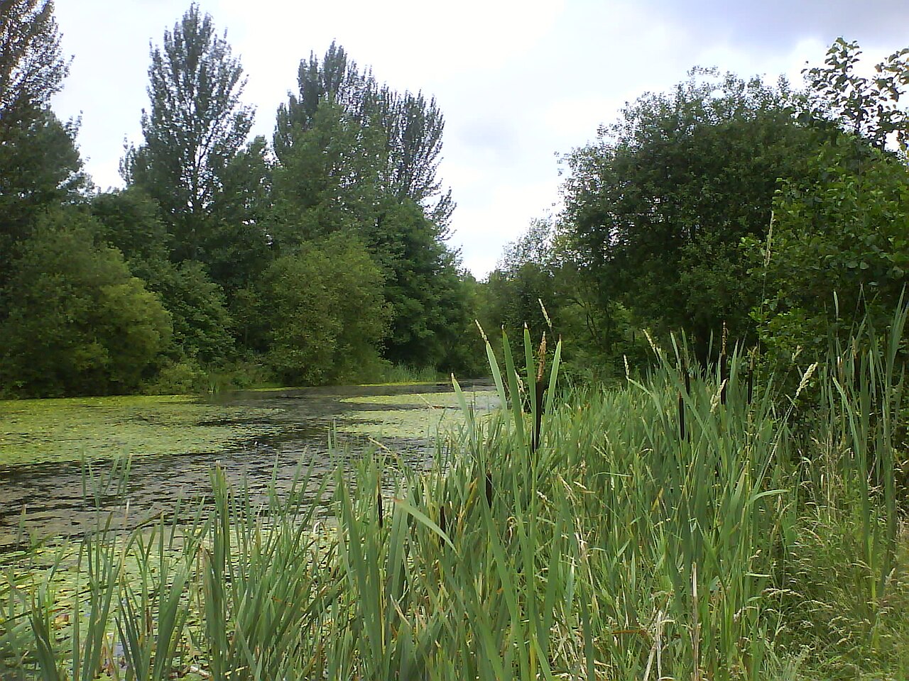 Drinkwater Park の写真