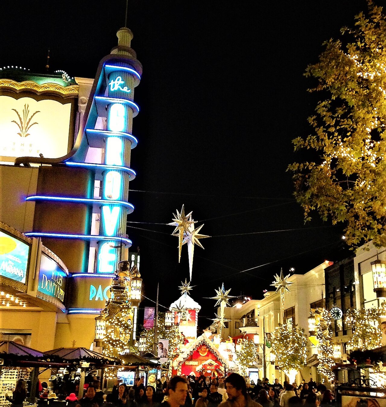 صورة The Grove