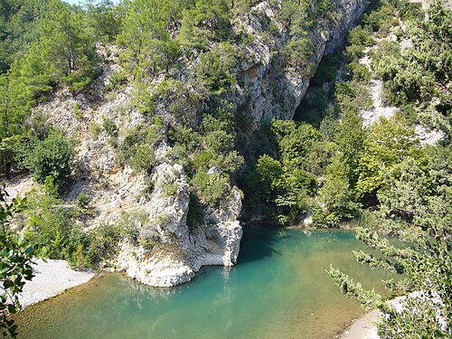 Çakallar