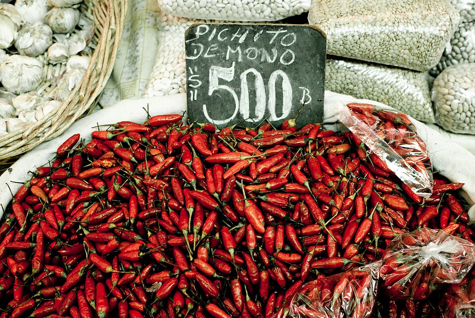 A photograph of La Vega Central Market