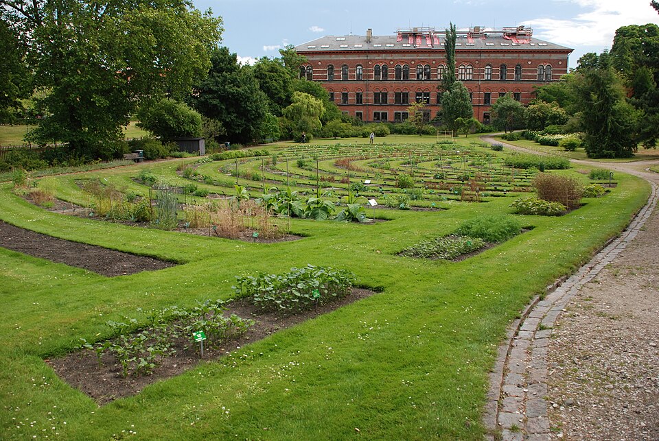 A photograph of University of Copenhagen Botanical Garden