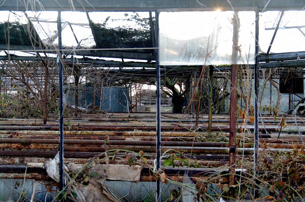 Britzer Garten の写真