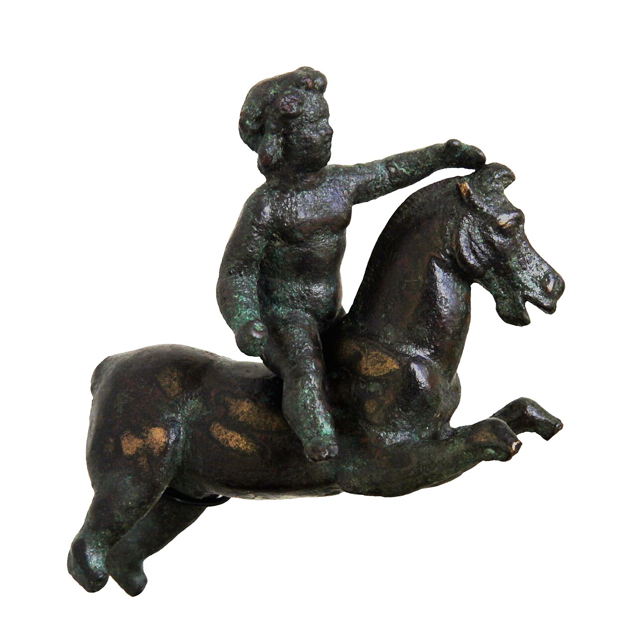 A photograph of Arabian Horse Museum