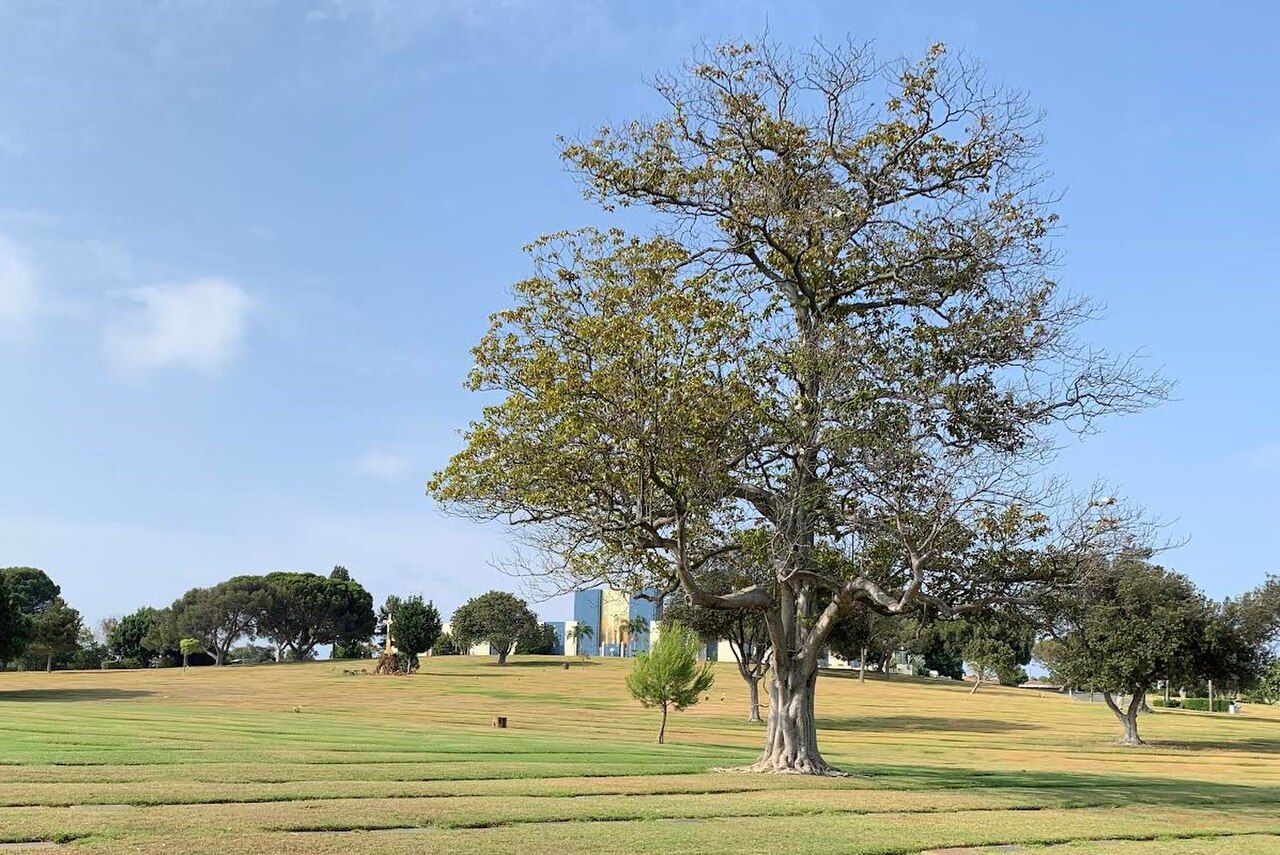 صورة Holy Cross Cemetery