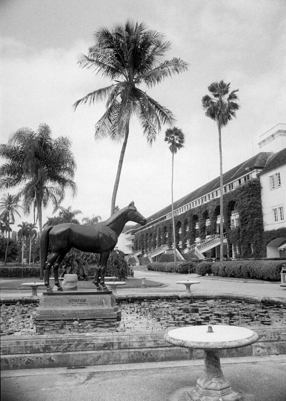 A photograph of Hialeah Park Race Track