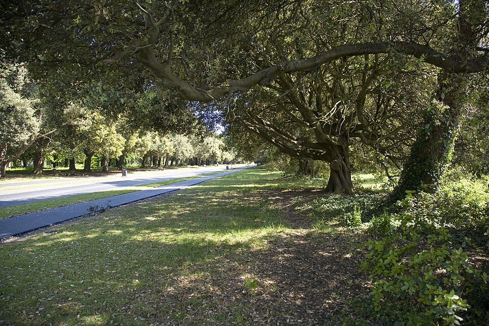 A photograph of Saint Anne's Park