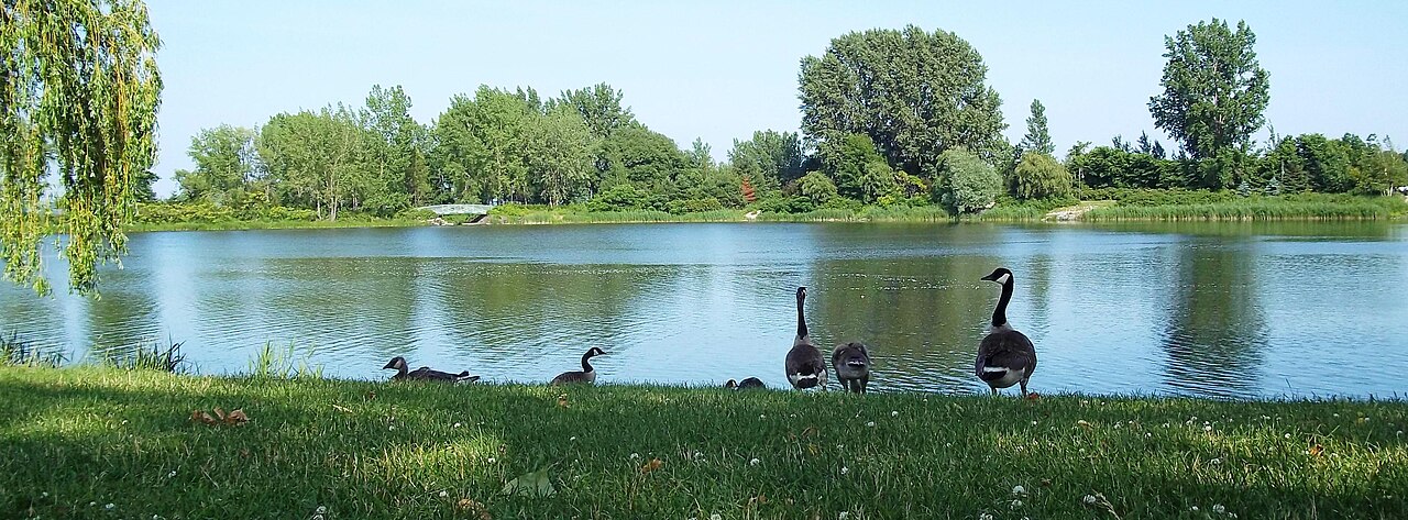 Rapides Parkı (1) fotoğrafı