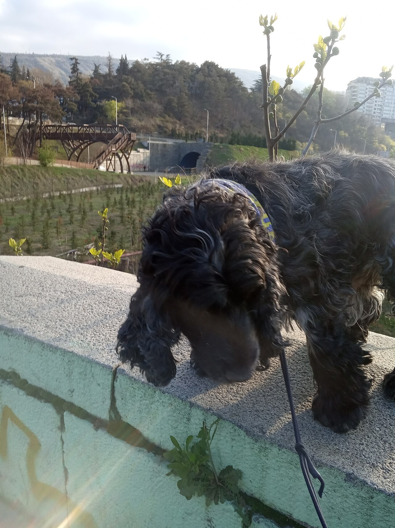 A photograph of Tbilisi Zoo