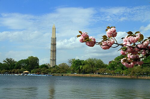 Tidal Basin