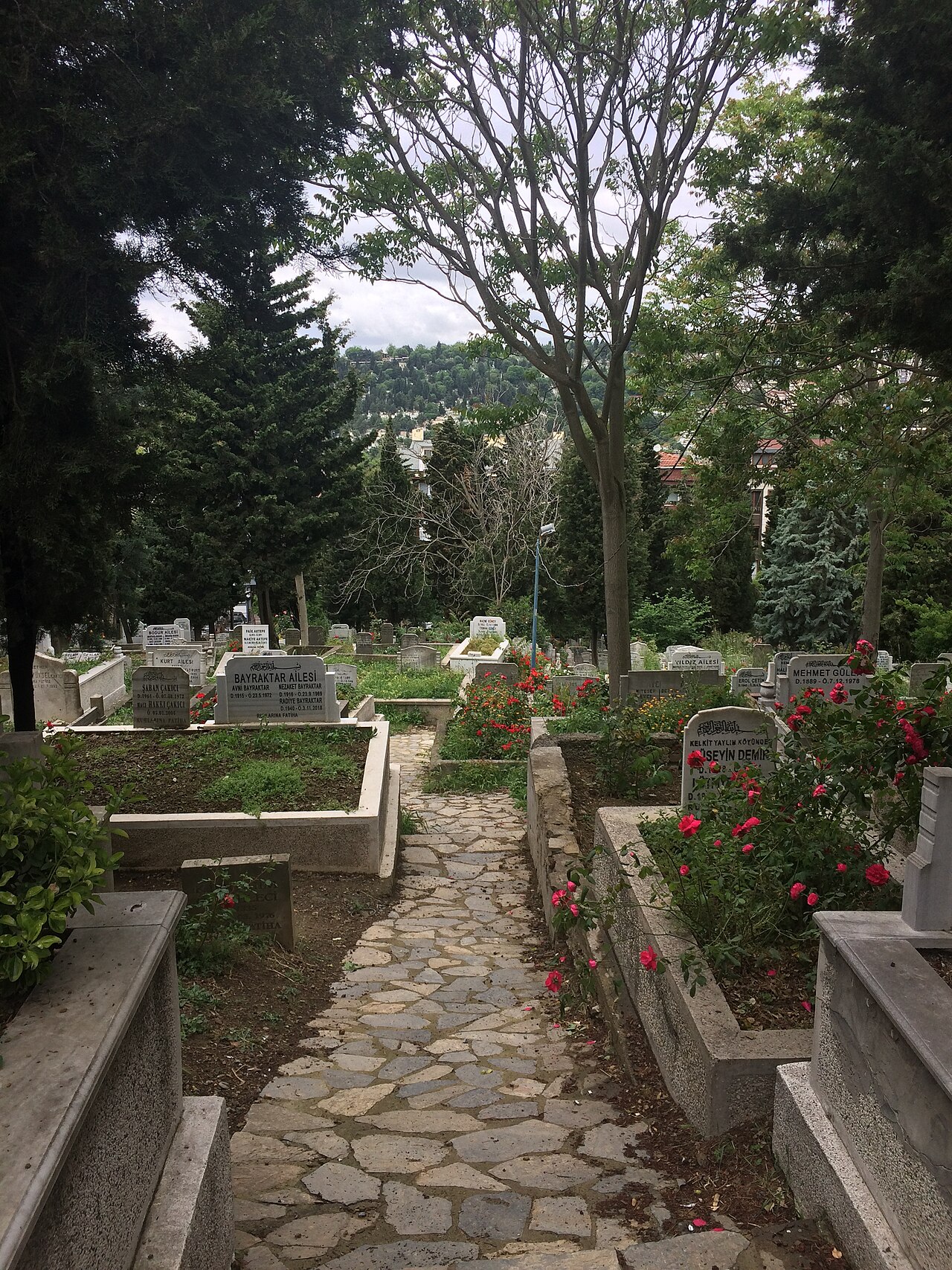 صورة Sütlüce Cemetery