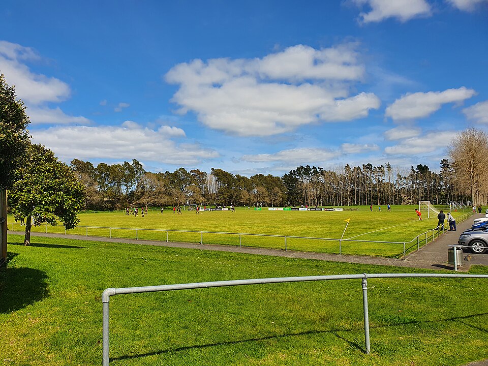 A photograph of Taylor Park