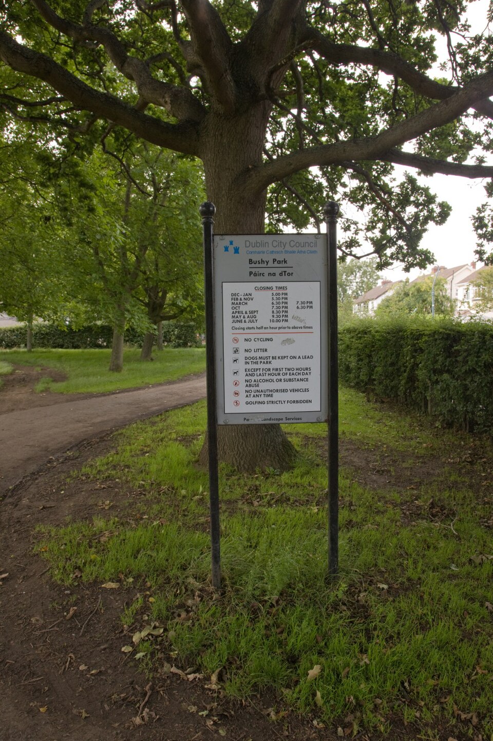 A photograph of Bushy Park