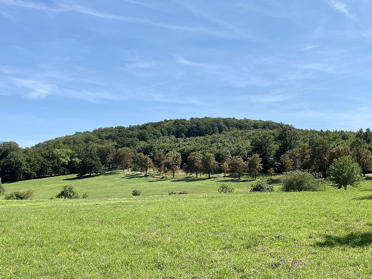 Bärenberg