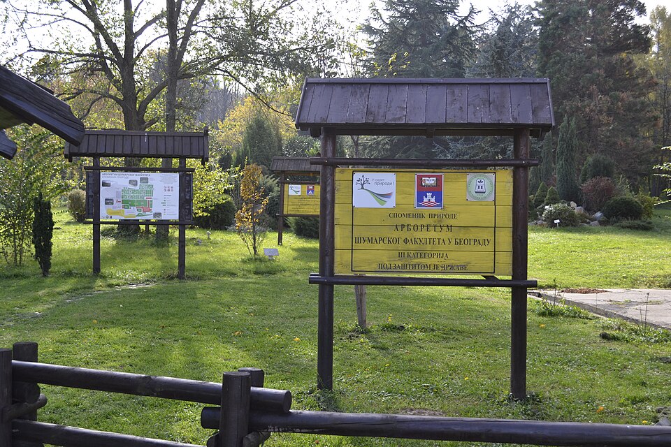 A photograph of Arboretum Šumarskog fakulteta