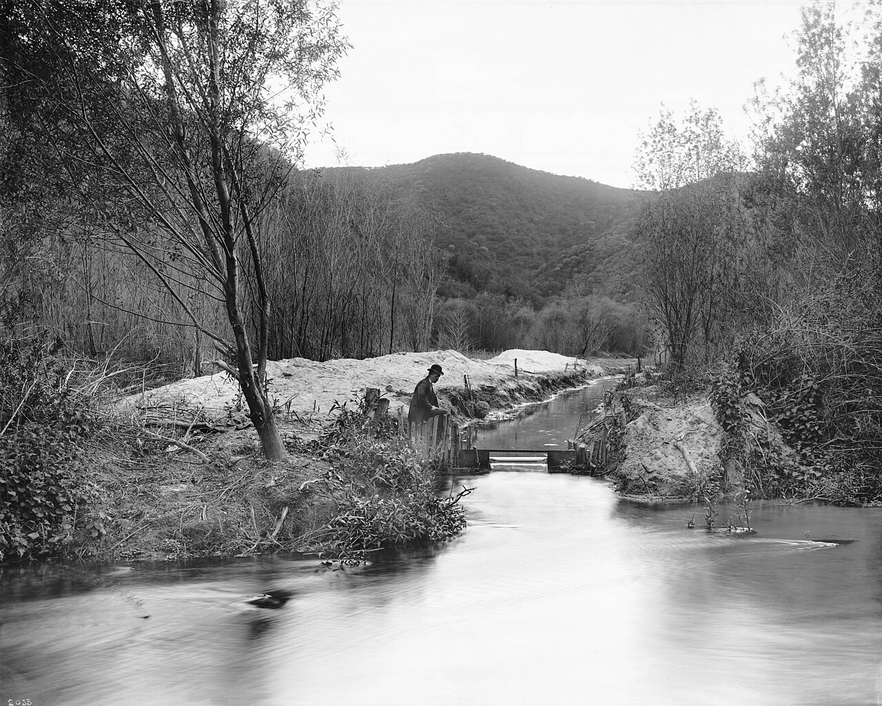 Griffiths Park fotoğrafı